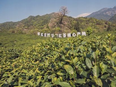 子宫止血效果最好的药